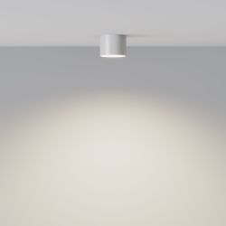 Потолочный светильник Maytoni   C096CL-GX53-W