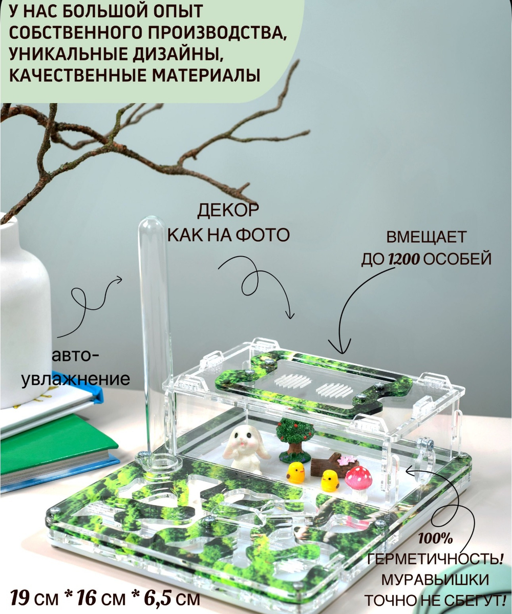 Муравьиная ферма с муравьями в подарок "Мох"
