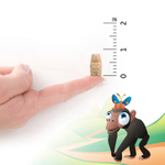 Garden of Life, Vitamin Code® Kids, жевательные мультивитамины из цельных продуктов, вишня, 60 жевательных мишек