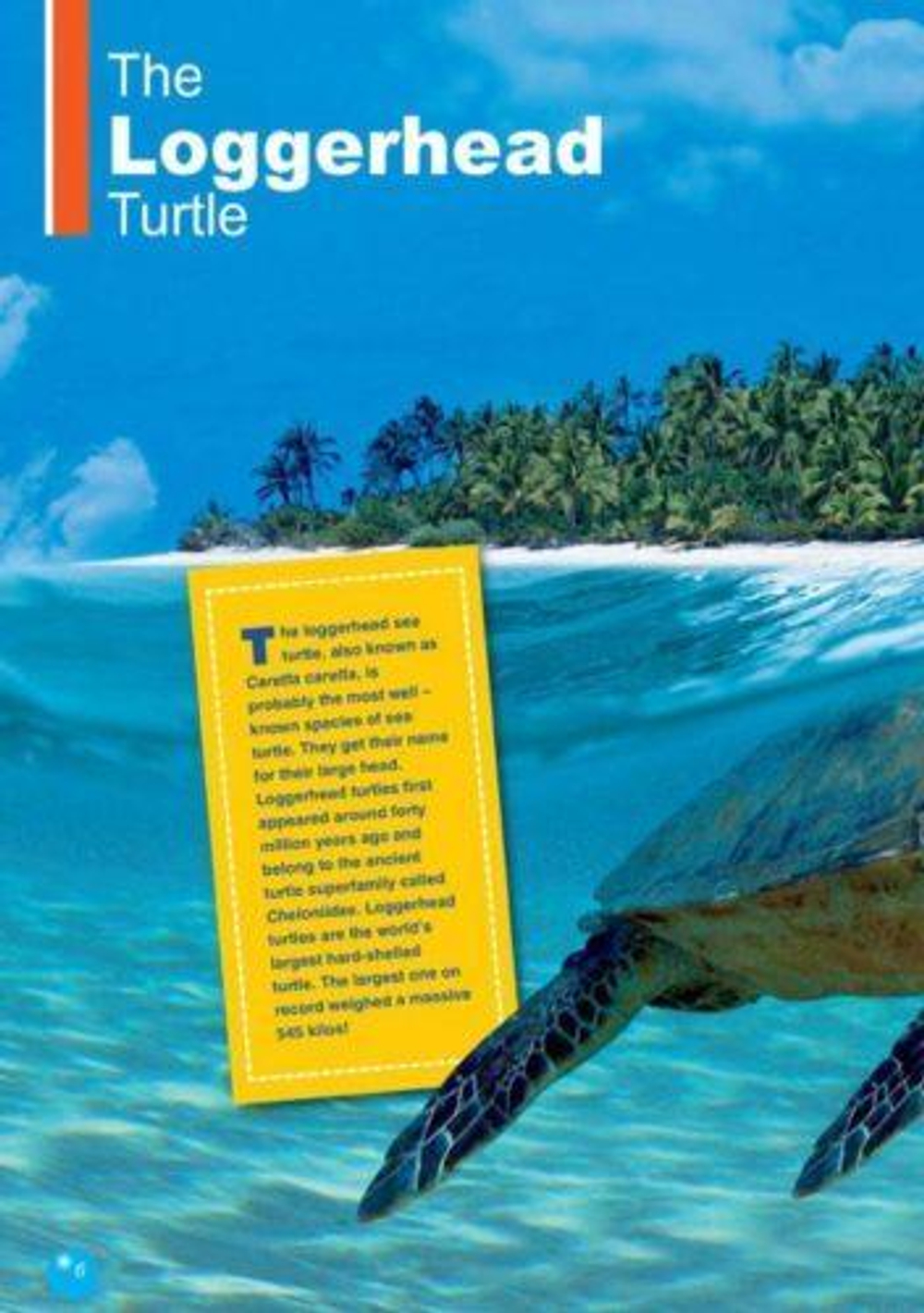 The Loggerhead. Reader. Книга для чтения.