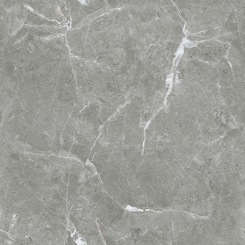 Stone Cool Grey Керамогранит серый 60х60 Полированный