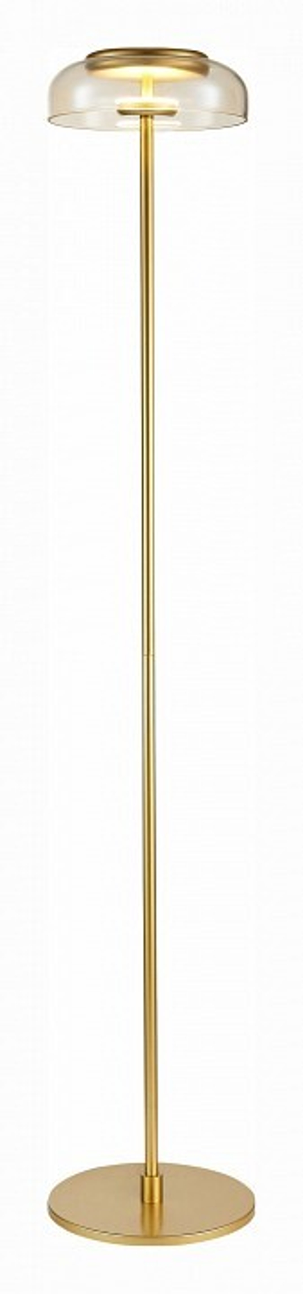 Торшер ST-Luce SL6002.205.01