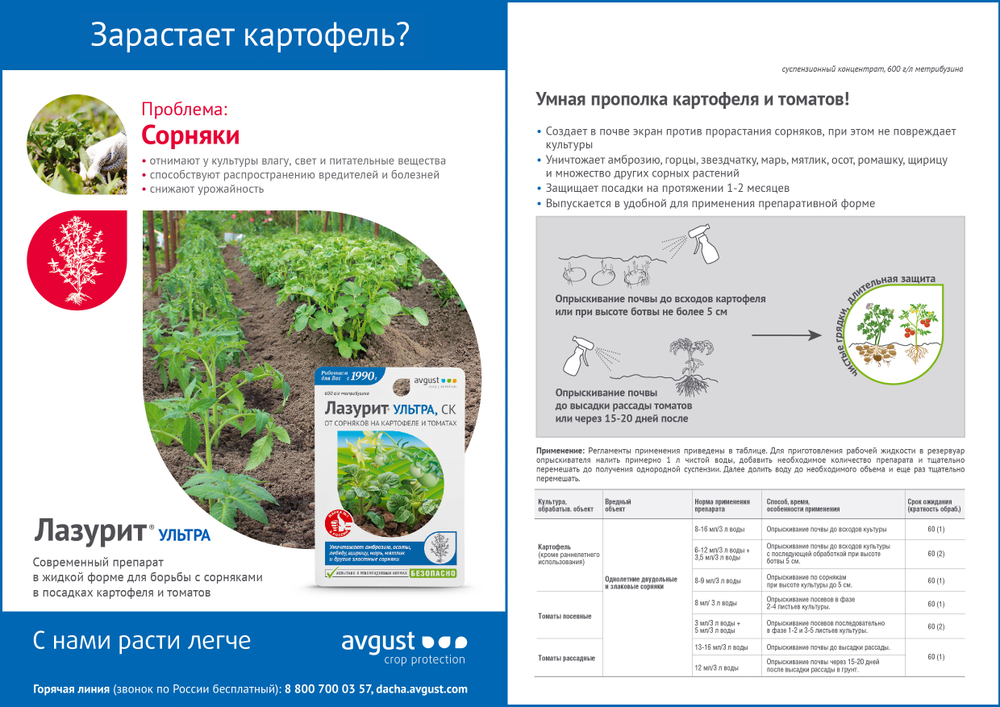 Лазурит Ультра, 9 мл. AVGUST/Август