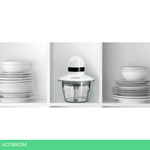 Измельчитель Bosch MMR08A1