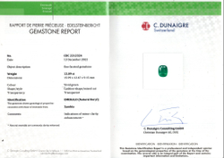 Изумруд, Кушон, 1 шт / 13,09 кар., Замбия