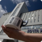 Кружка "Антихрупкость"