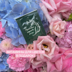 Авторский букет «Я подарю тебе звезду!»: воздушная гортензия, роза Пинк Охара, кружевной лизиантус, стойкий диантус, хризантема Сантини, ароматная маттиола/ Цветы/ букет от RoseMarkt