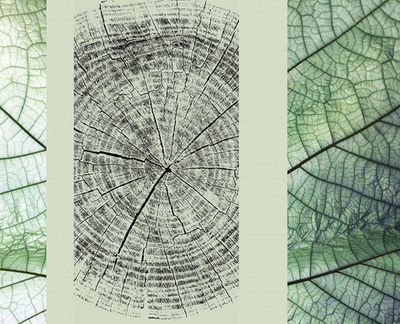 Дизайнерские обои Wall Street GreenDay