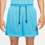 Шорты Nike Dri-FIT Standard Issue x Space Jam, DJ3897-434