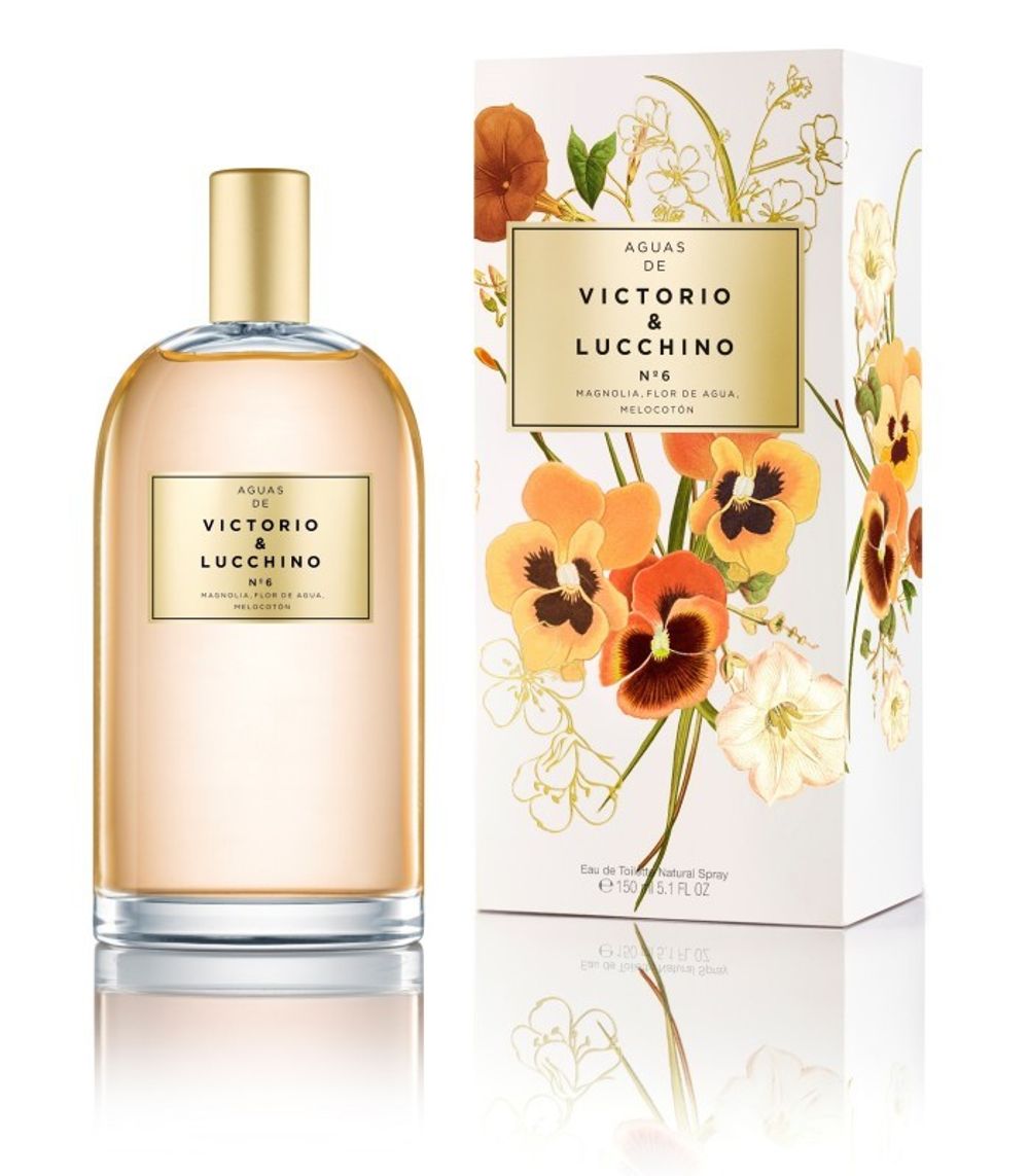 Victorio and Lucchino No 6