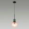 Подвесной светильник Odeon Light Greeni 5026/1