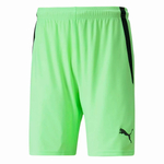 Мужские шорты PUMA teamLIGA Shorts