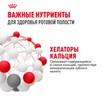 Royal Canin Dental Care Дентал Кэа Корм сухой для взрослых кошек поддержание здороья ротовой области 1,5кг
