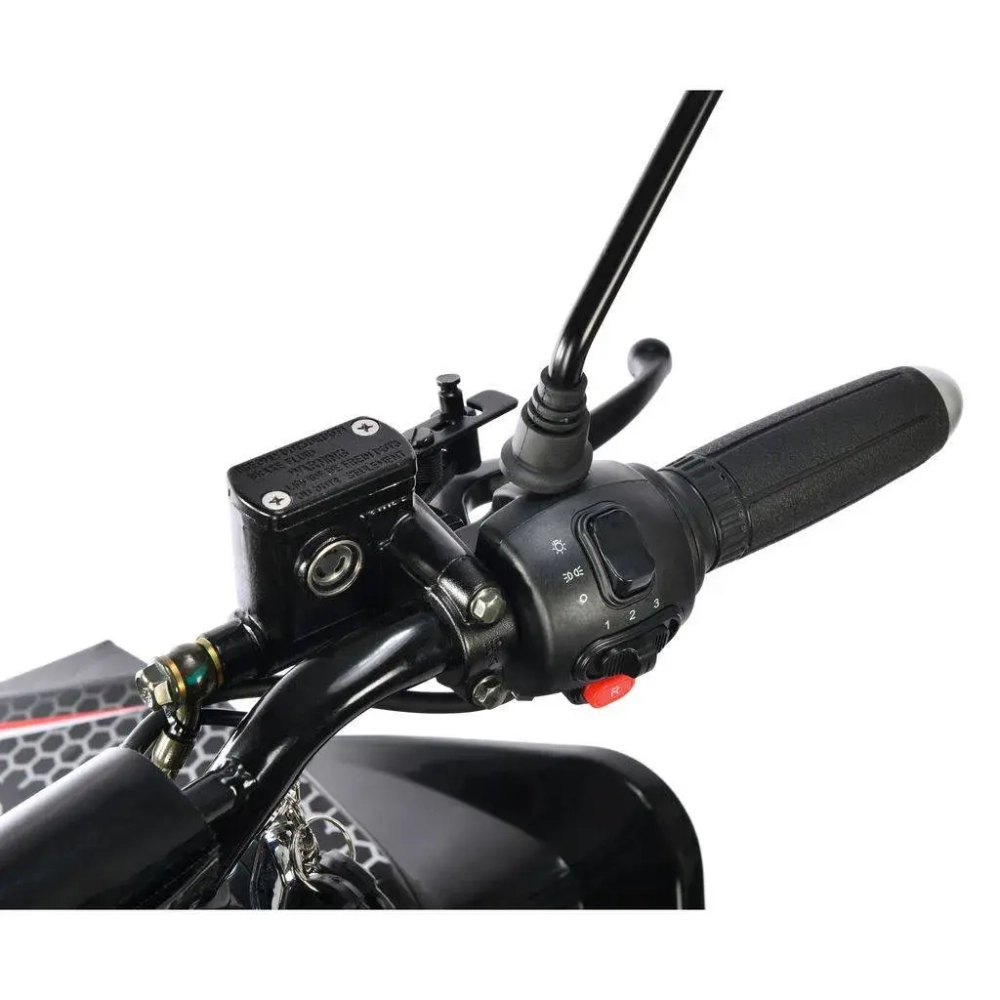 Электроквадроцикл WHITE SIBERIA SNEG Pro R 3000W