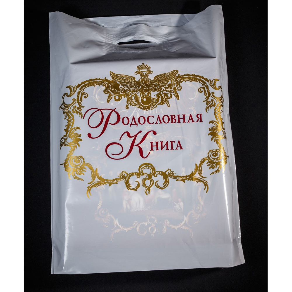 Семейный альбом родословная книга "Застолье", обложка балакрон (гранат)