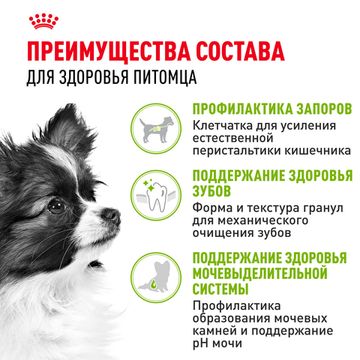 Royal Canin X-Small Adult для взрослых собак миниатюрных пород