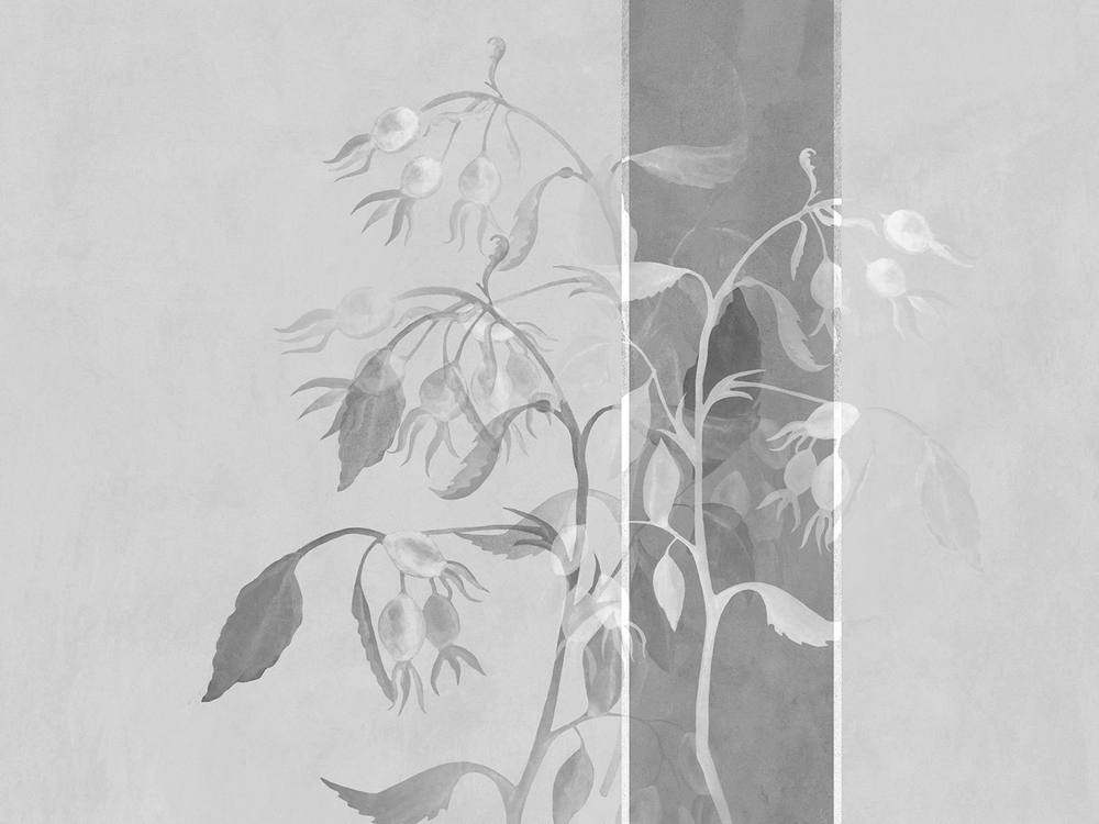 Дизайнерские обои Wall Street Bella 4