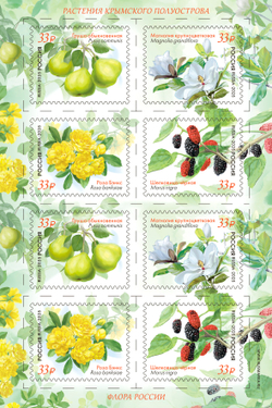 Марка номиналом 33 рубля. Растения Крымского полуострова
