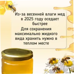 Мед Липовый / 650 гр Мед Липовый / 650 гр