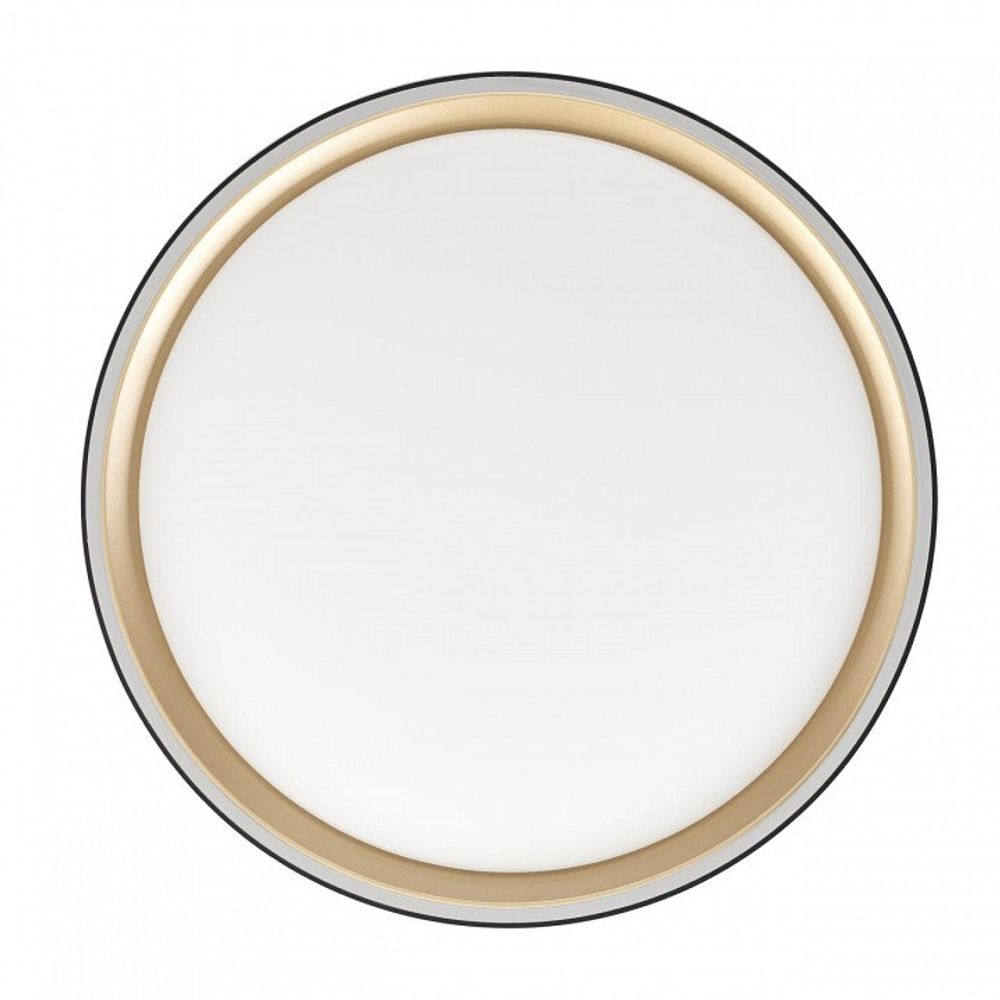 Накладной светильник Citilux BOSS CL751251G