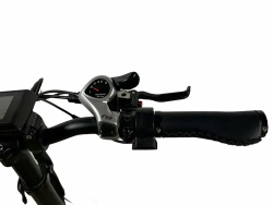 Электровелосипед OxyVolt Low Fat Ranger