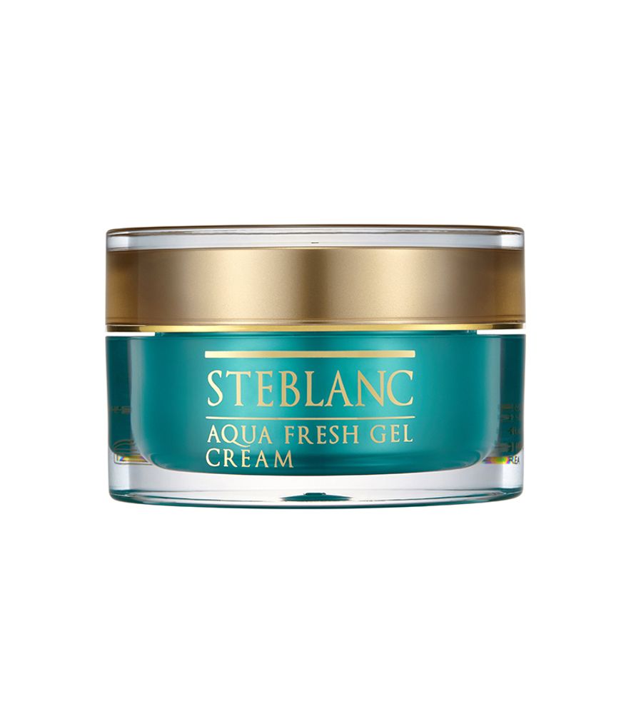 STEBLANC Aqua Fresh Gel Cream