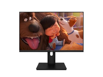 Монитор Aiwa MQ270A