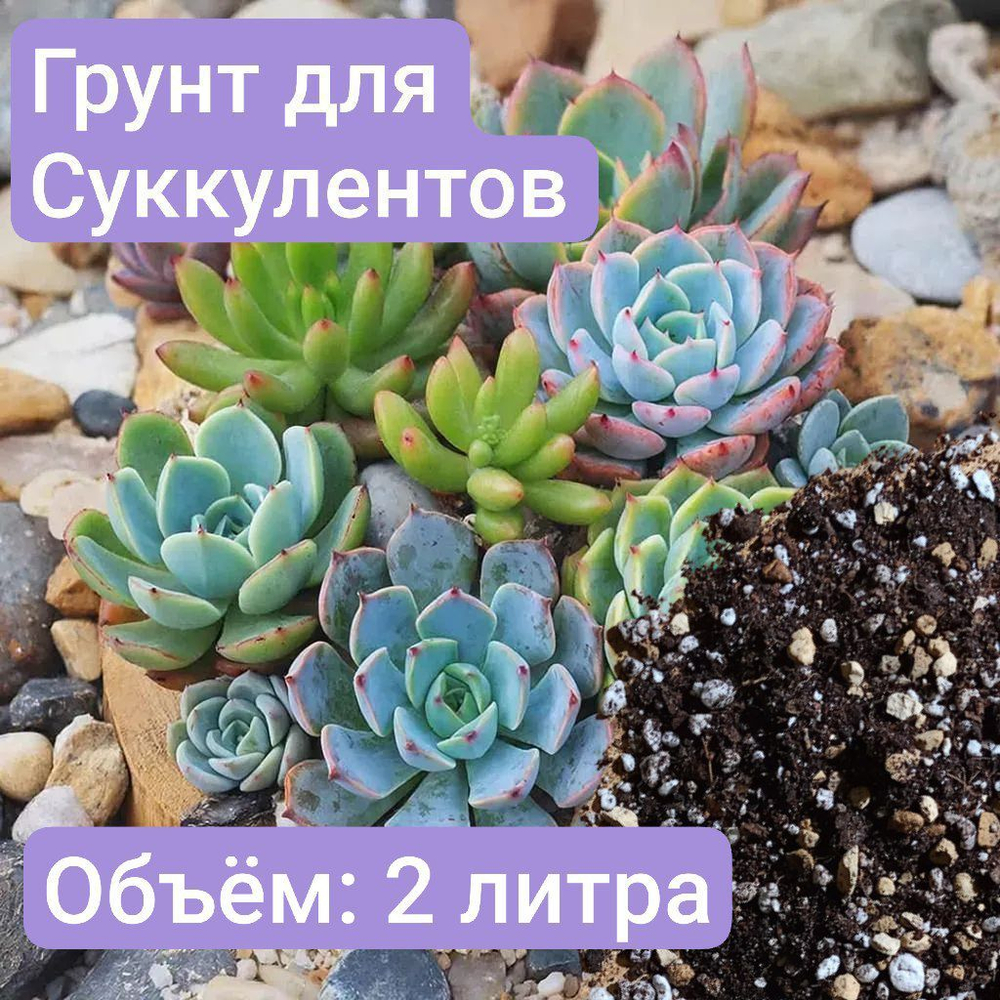 Авторский грунт для Суккулентов 2 литра