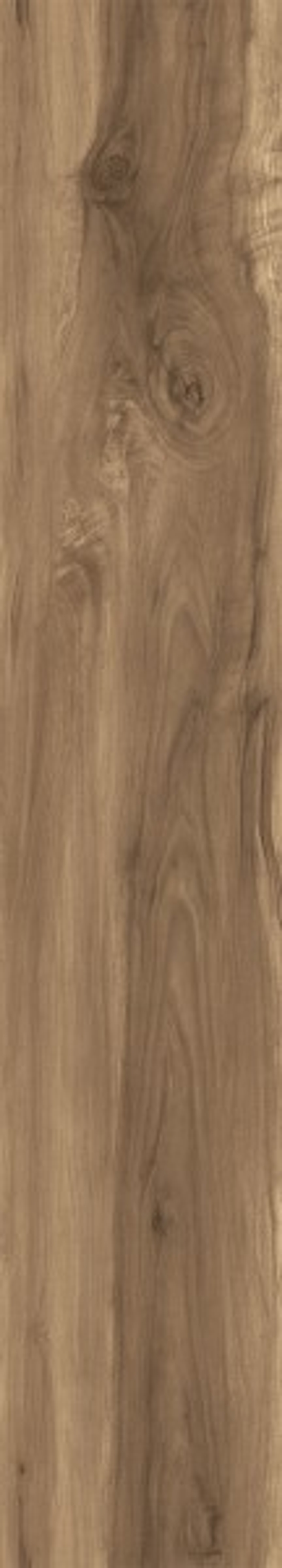 FOSSIL WOOD WENGE CW-RT10-B