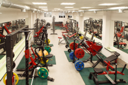 Impulse SL7017 икроножные сидя, профессиональный тренажер