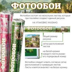 Фотообои Vostorg № 287 Березовая роща 392х260см