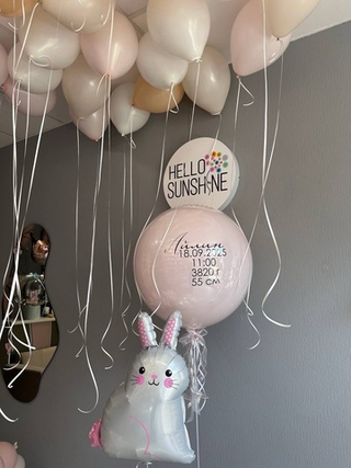 Набор шаров на выписку №21