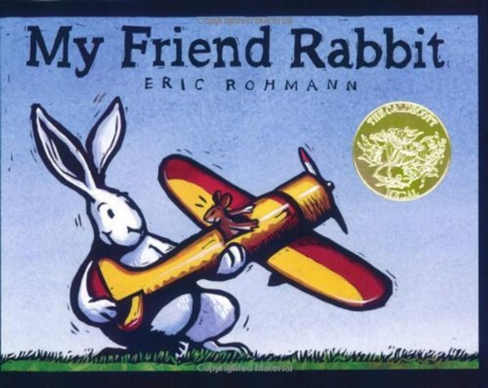 My Friend Rabbit  (PB) illustr.