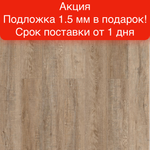 Замковая SPC-плитка Royce Enjoy