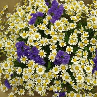 Букет Полевые цветы