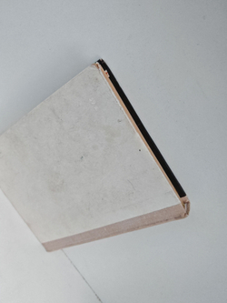 Берлин, май 1945. Записки военного переводчика