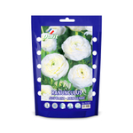 ЛУКОВИЦЫ РАНУНКУЛЮС  AVIV BLANC 7/8, DARIT 10 ШТ/УП