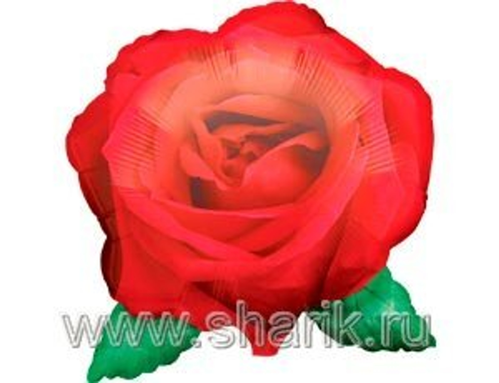 Фигура Роза красная 69х64см шар фольга