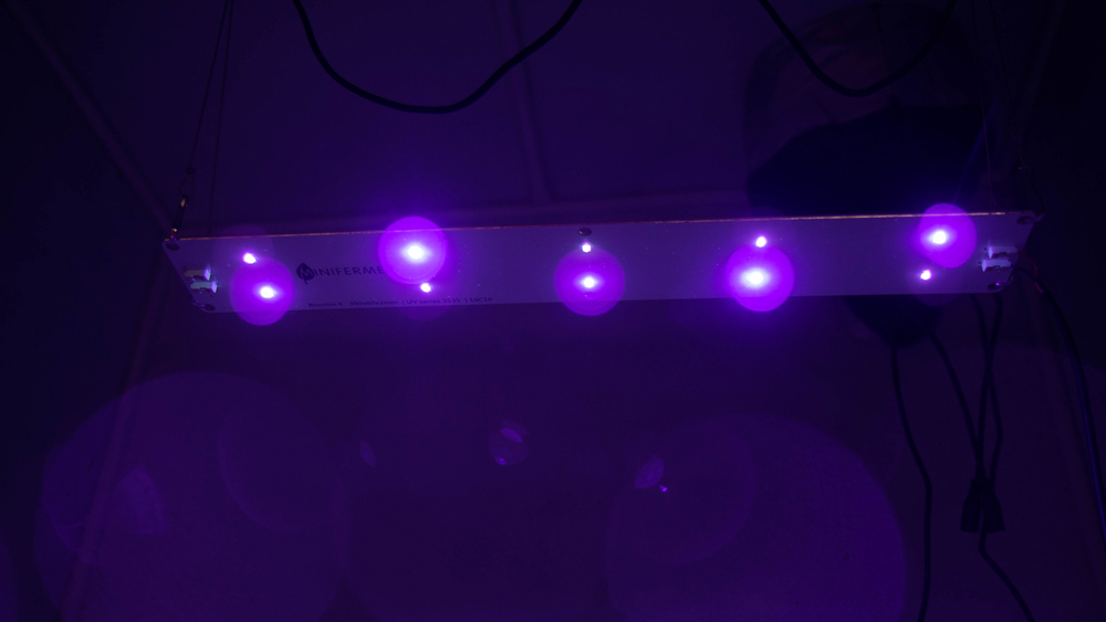 УФ фитолампа для растений LED Booster Line UV 365-385-395-405 nm, 20W