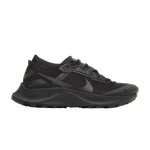 Кроссовки Nike Pegasus Trail 3 Gtx (Женская размерная сетка)
