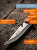 Нож туристический Tagrider Storm, 21 см