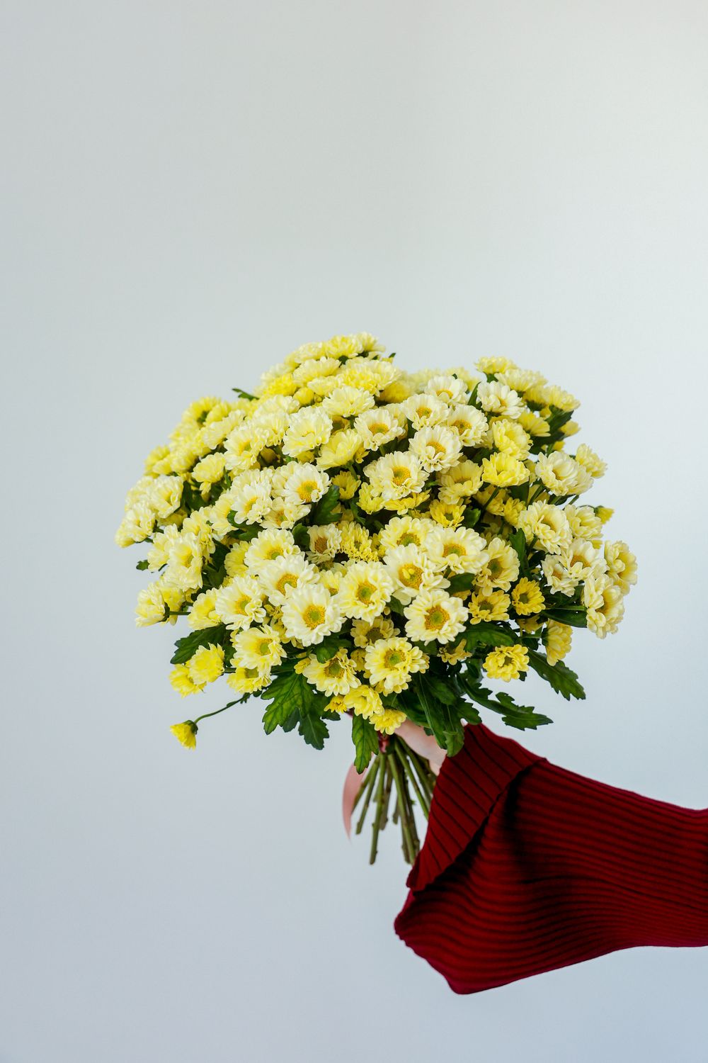 Охапка сантини