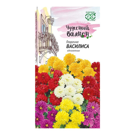 Георгина Василиса H10