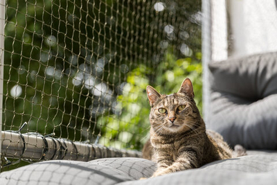 Защитная сетка для животных, усиленная, 2 х 1,5 м, Trixie