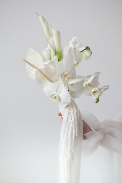 White Delight