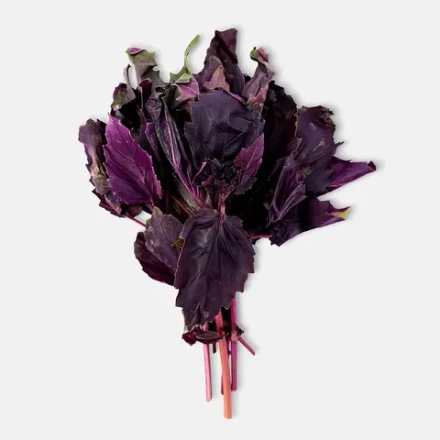 Базилик М Свежесть 30г