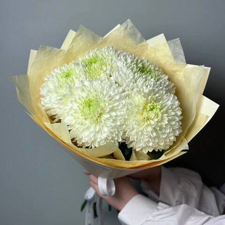 Букет из белых одноголовых хризантем. Букет 1213