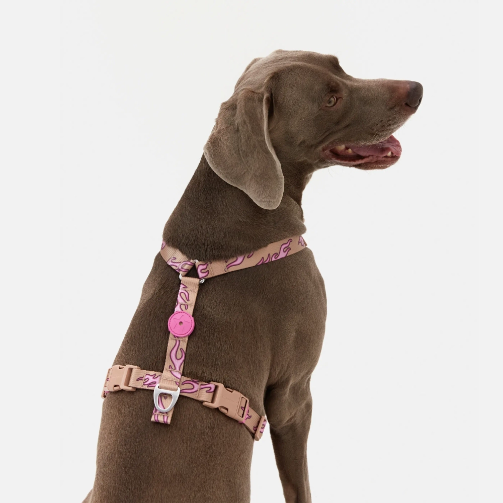 Анатомическая шлейка Hot Flames