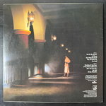 Виниловая пластинка Patrick Simmons ‎– Arcade LP