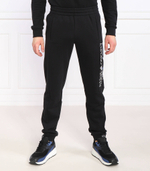 спортивные штаны EA7 - черный(3RPP56 PJLSZ)